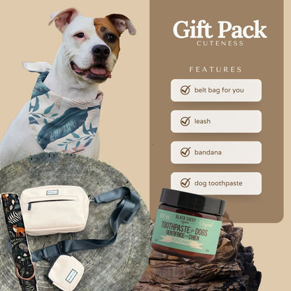 Dog gift pack with belt bag, leash, bandana, and toothpaste on a beige background