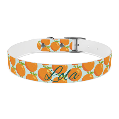 Teal and Orange Waterproof Dog Collar - personalized