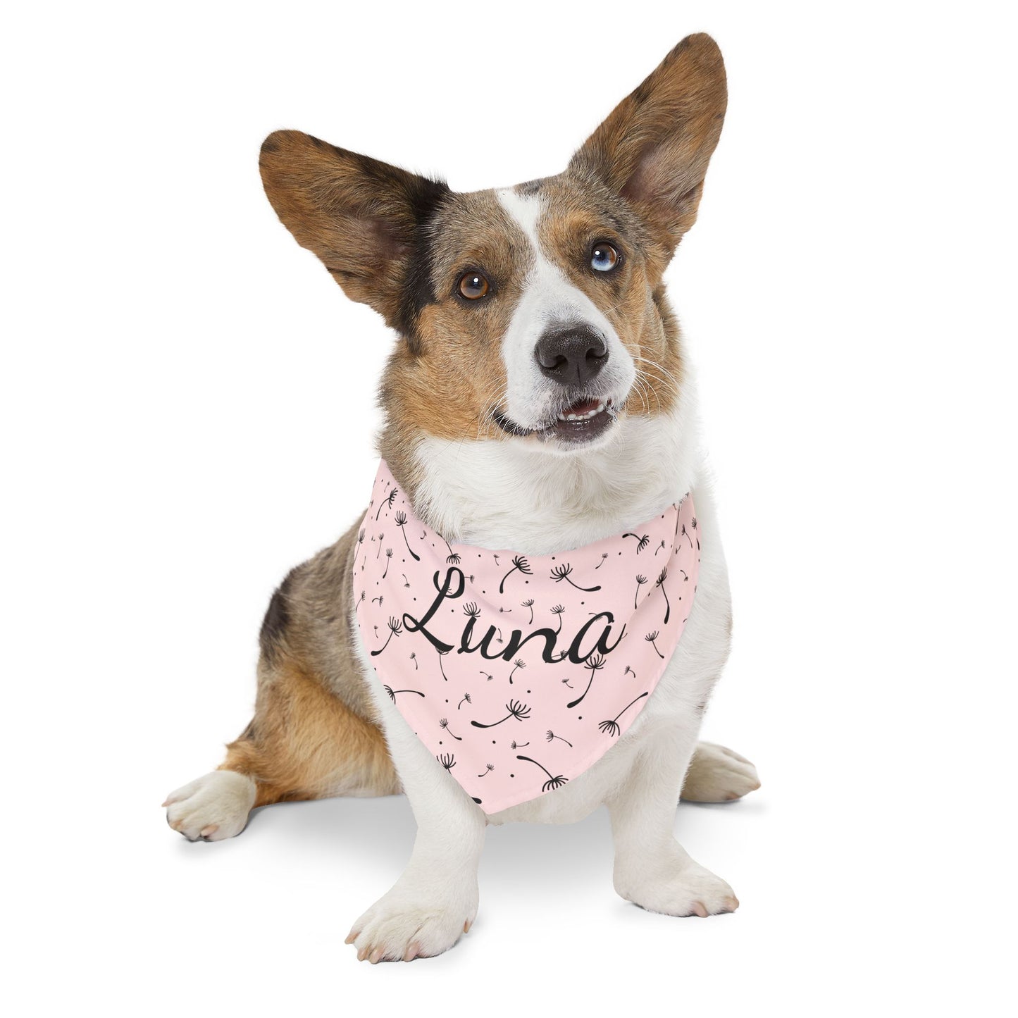 Pet Bandana Collar - Blush Pink Whimsical Dandelion Design with name