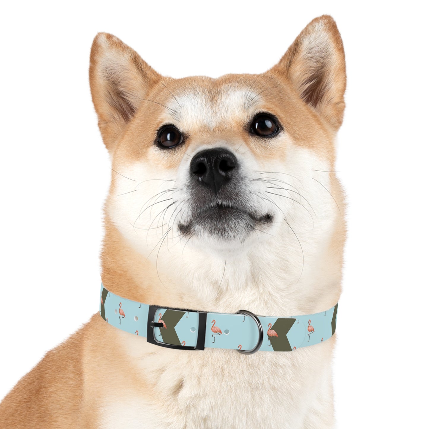 Flamingo Personalized Blue Dog Collar