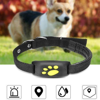 Pet GPS Tracking Collar – Real Time Dog GPS Tracker with Geo Fence Alarm & Waterproof Design