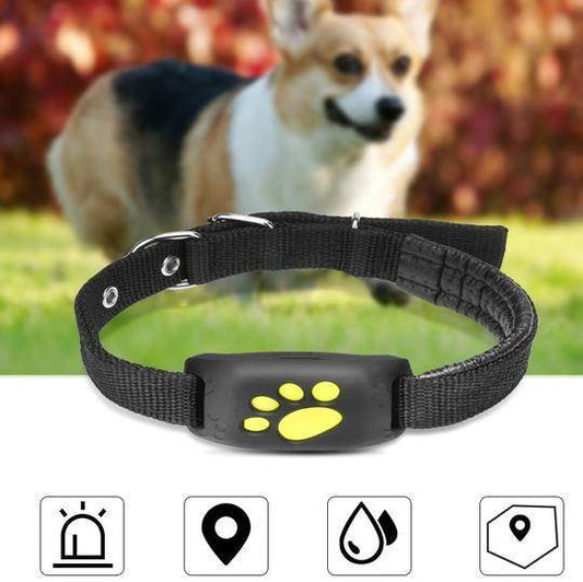 Pet GPS Tracking Collar – Real Time Dog GPS Tracker with Geo Fence Alarm & Waterproof Design