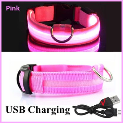 Luminous Dog Collar