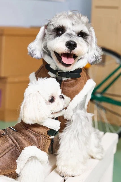 Vancouver Street Dog Vest | Classic Dog Vest Jacket