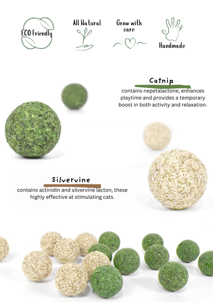 Catnip / Silvervine Teeth Cleaning Beans 5pcs