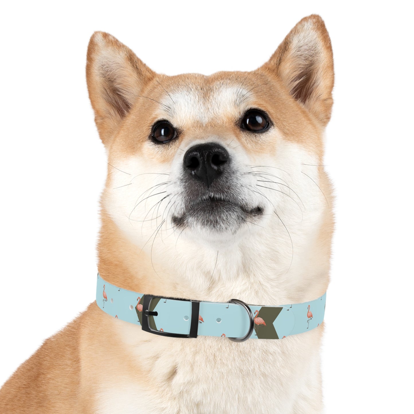 Flamingo Personalized Blue Dog Collar