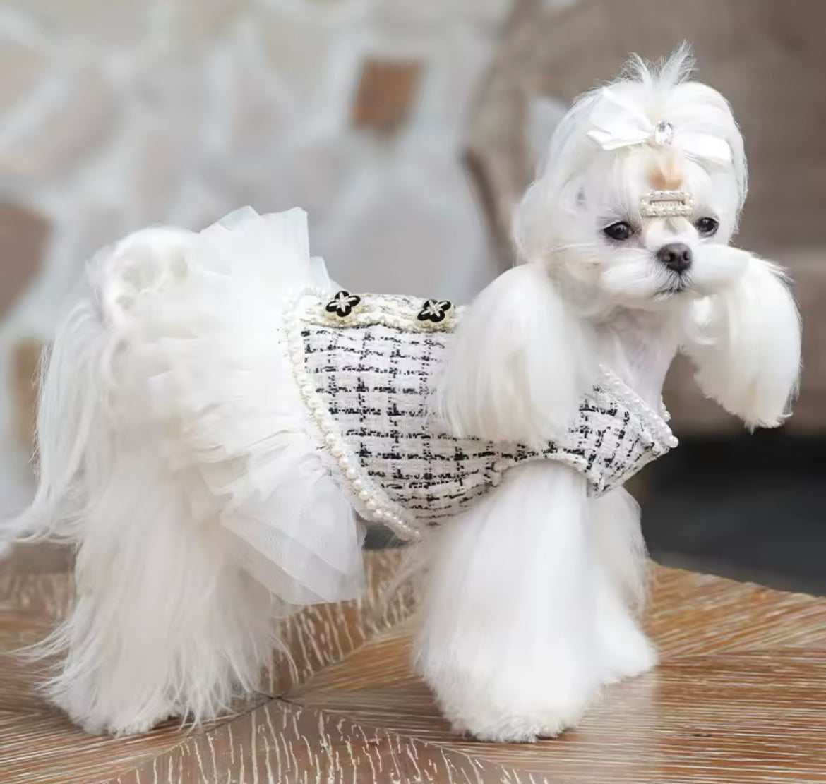 Coco Chewnel Dress – Luxury Tweed Dog Dress