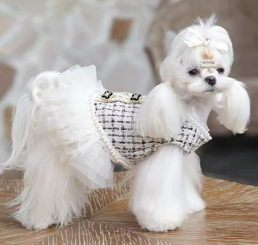 Coco Chewnel Dress – Luxury Tweed Dog Dress