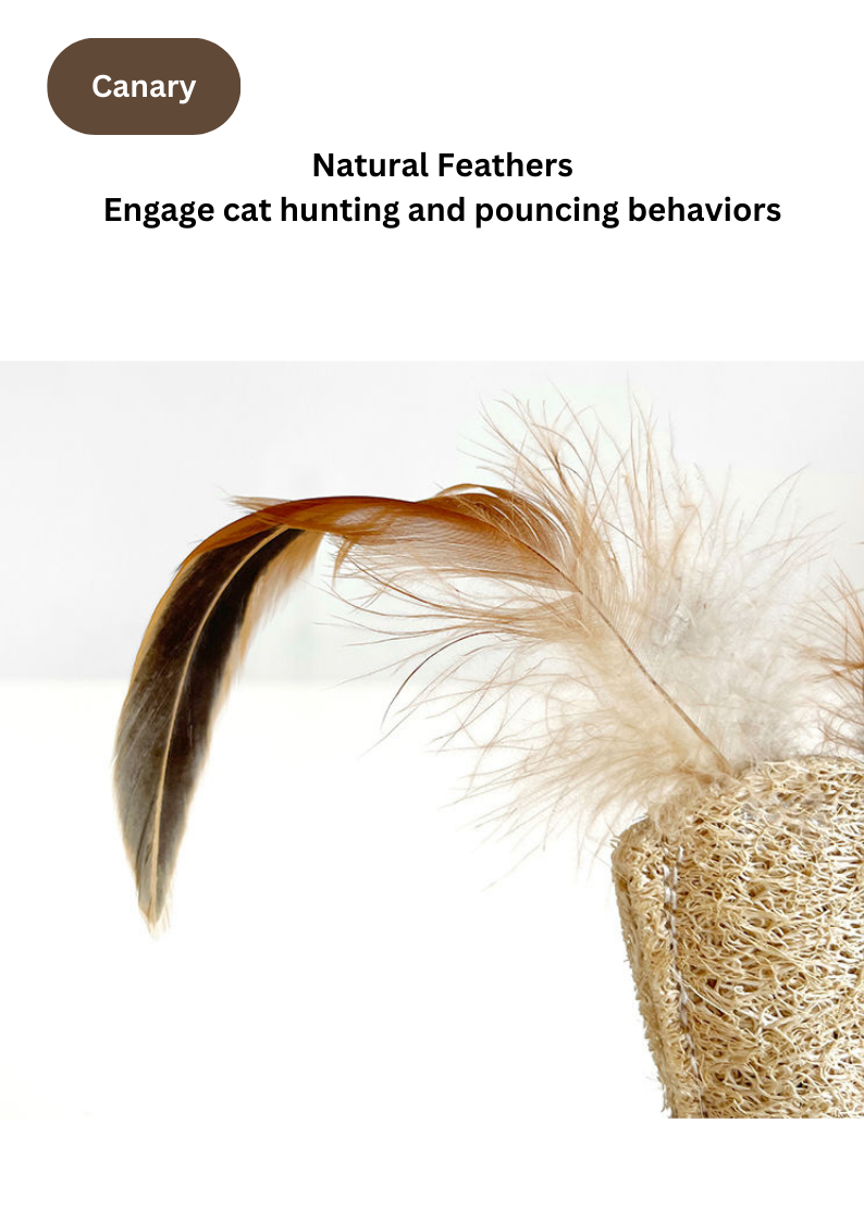 Silvervine Tumblers - Canary / Panda