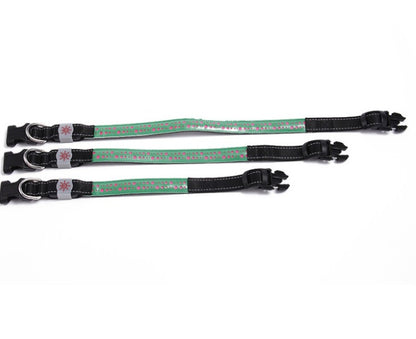 LED light collar pet collar