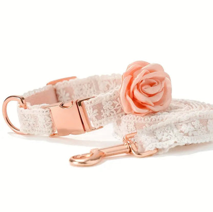 Enchanted Collar & Leash Set | Dog Collar and Leash