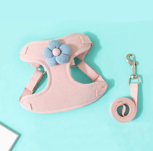 Nova Harness & Leash Set