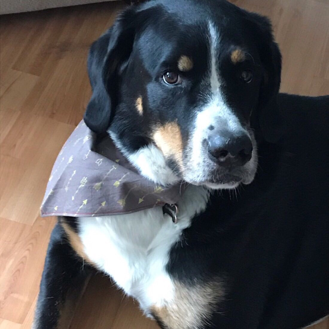 Bandana of The Month Club