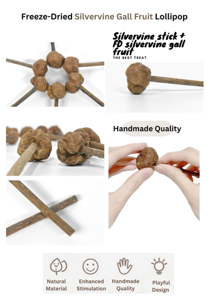 Freeze Dried Silvervine Gall Fruit Toys