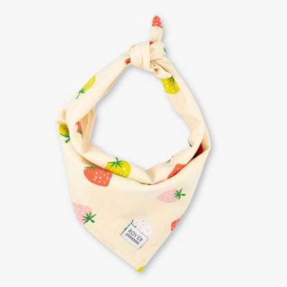 Spring Dog Bandanas