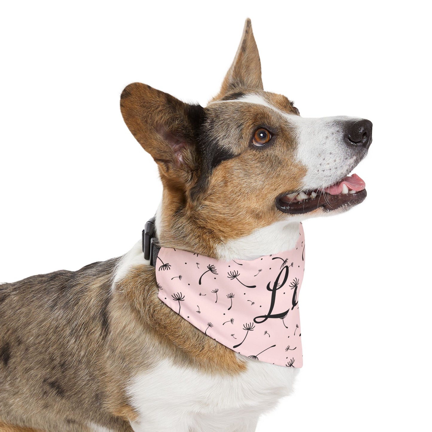 Pet Bandana Collar - Blush Pink Whimsical Dandelion Design with name