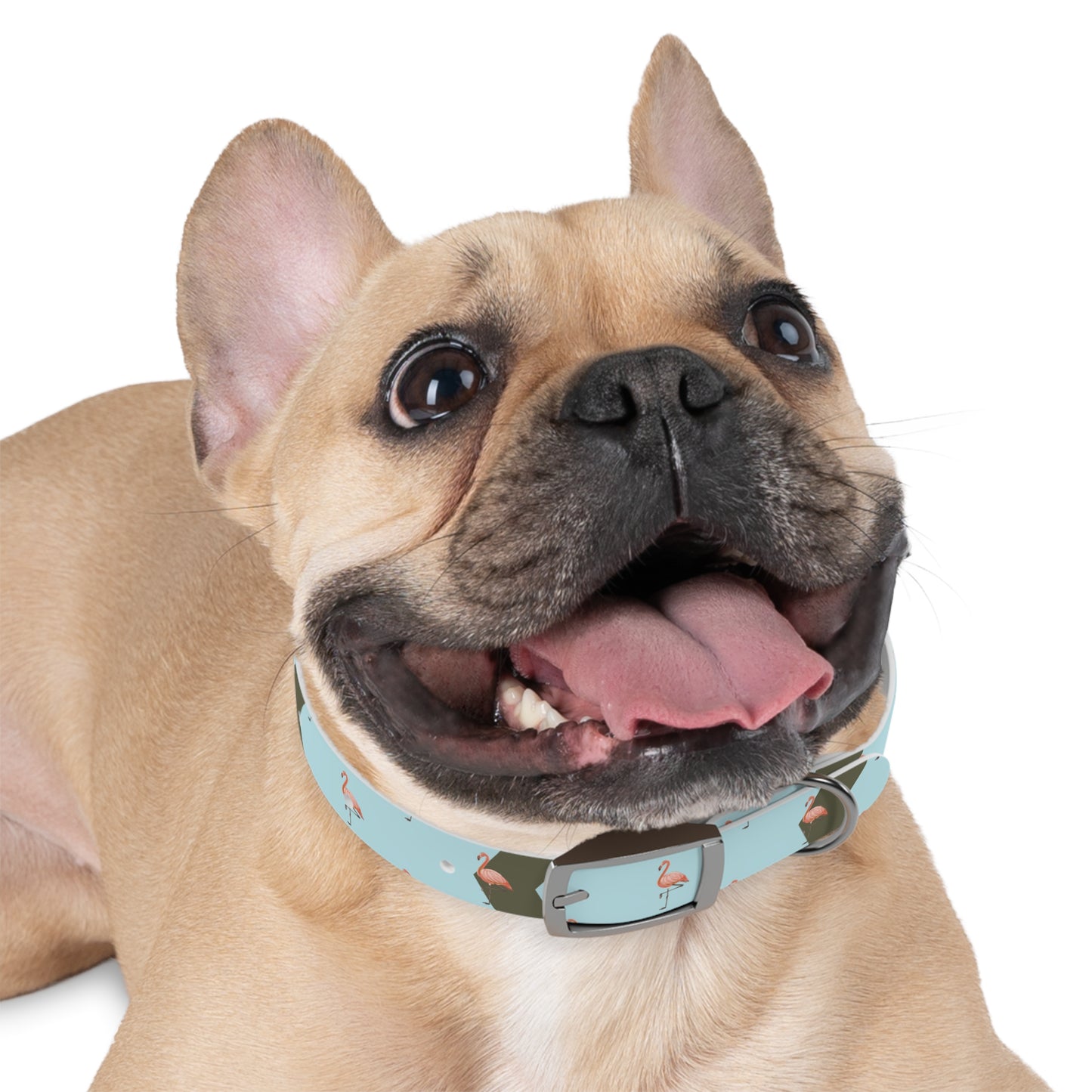 Flamingo Personalized Blue Dog Collar