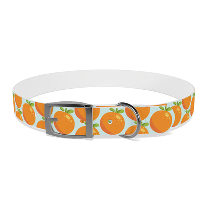 Teal and Orange Waterproof Dog Collar - personalized