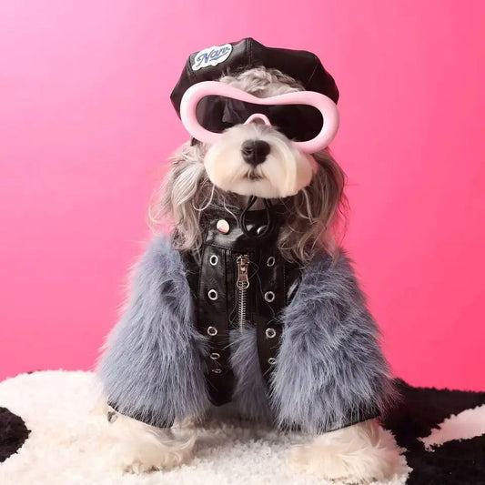 Jupiter Star Dog Jacket | Faux Leather Dog Coat with Fur Trim