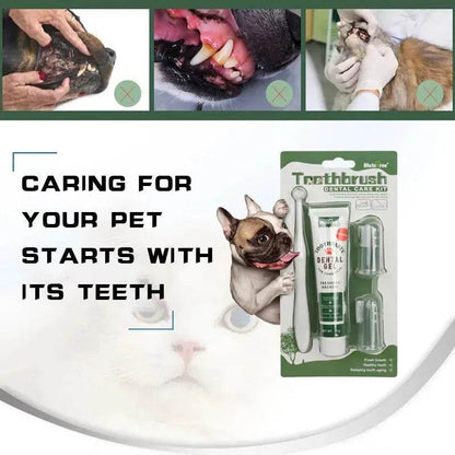 Buy 3pcs Pet Oral Care Kit Dog Cat Dental Care