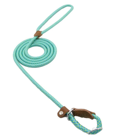 Collar and Leash Set