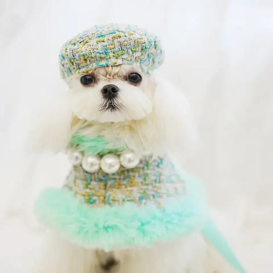 Riviera Tweed Dog Harness Set | Harness Hat and Leash Outfit