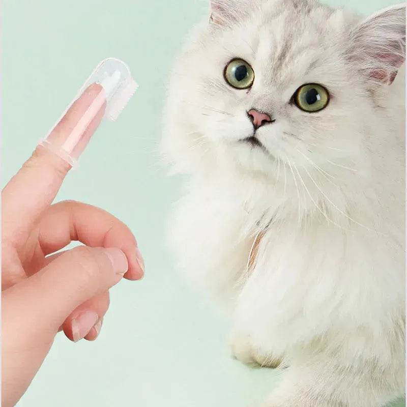 Buy 3pcs Pet Oral Care Kit Dog Cat Dental Care
