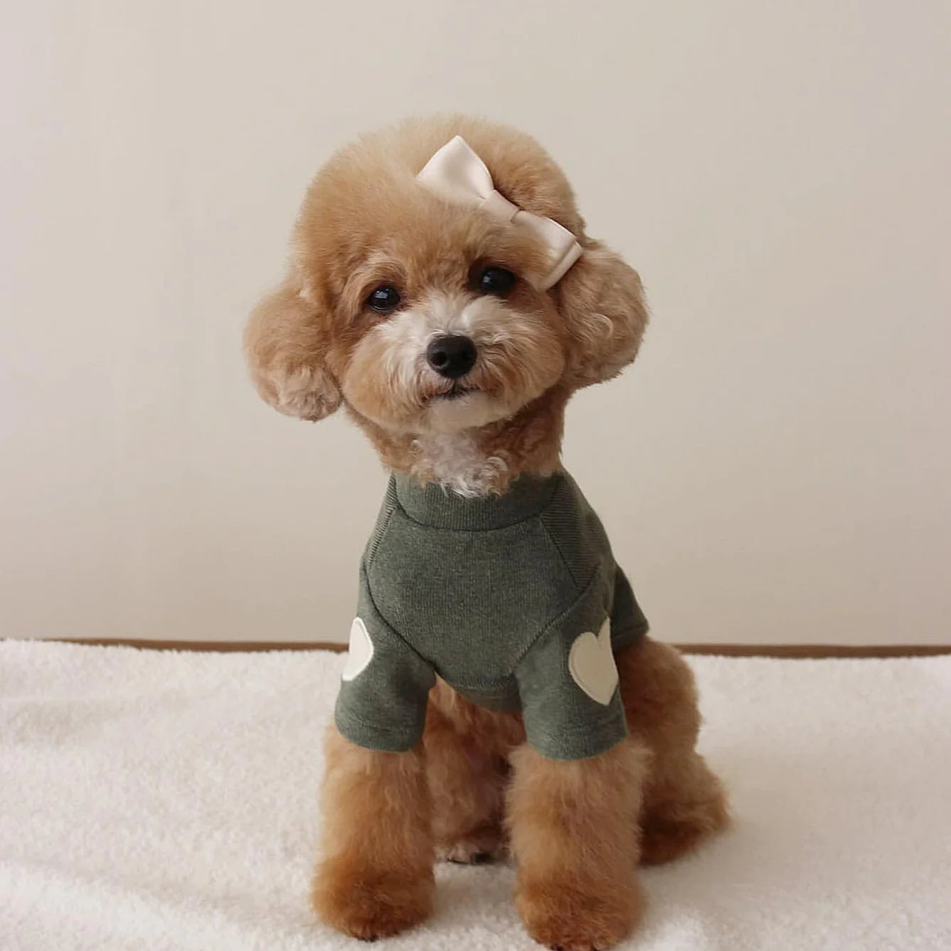 Dog Heart Sweater