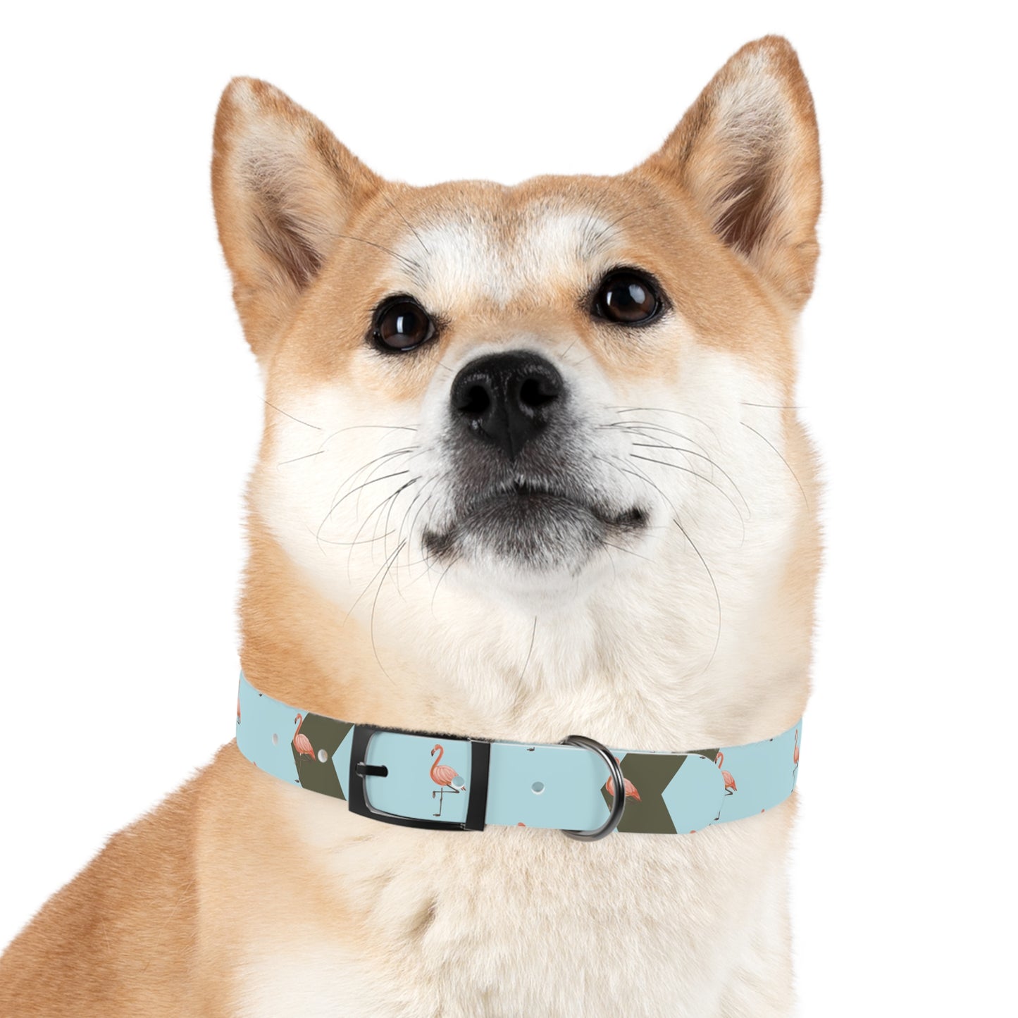 Flamingo Personalized Blue Dog Collar