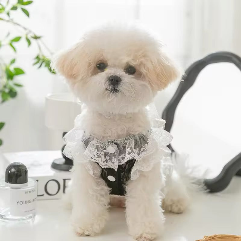 Sabrina Dress for Dogs – Elegant Lace Dog Dress