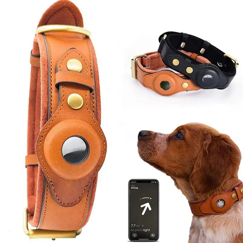 Dog Collar with Airtag Holder