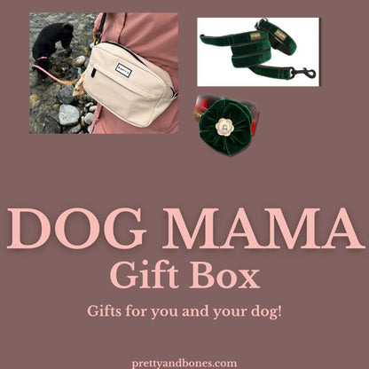 Gift Box for Dog Mom and Dogs