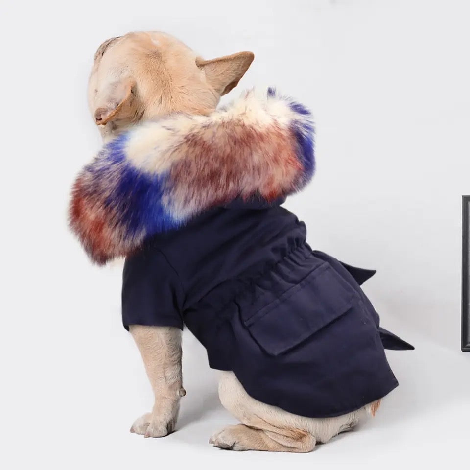 Allison Winter Dog Jacket | Hooded Dog Jacket for Cold Weather