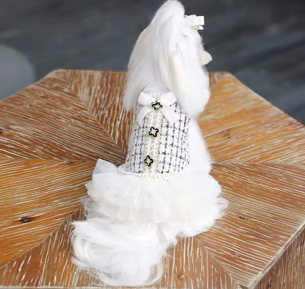 Coco Chewnel Dress – Luxury Tweed Dog Dress