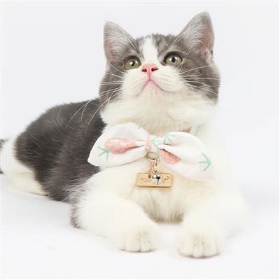 Cat Collar Pink Pineapples