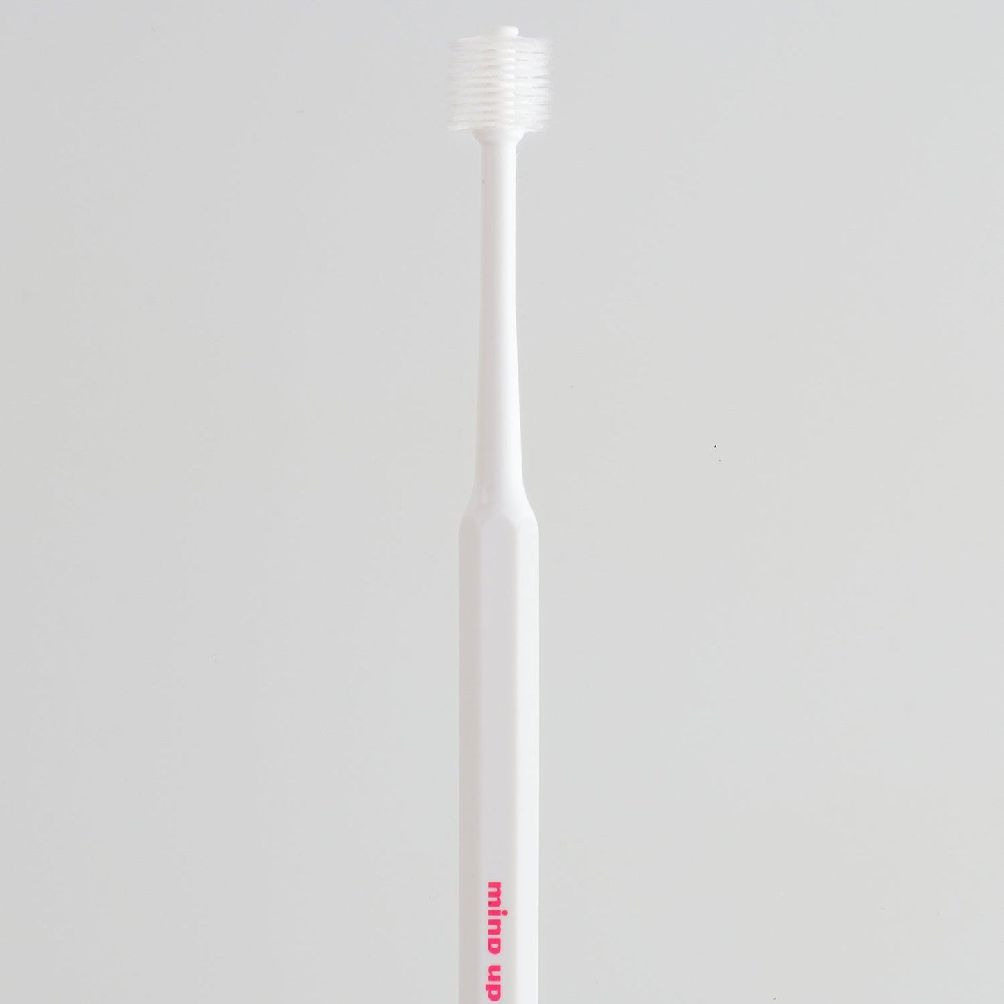 mind up - Dog's Dental Care Kit D "Cylinder Head" (Made in Japan)