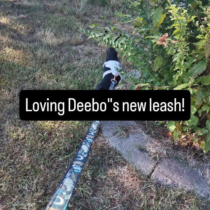 Fox Print Leash For Dogs