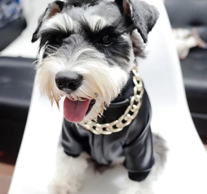 Boujee Dog Leather Jacket | Dog Jacket for Cold Weather