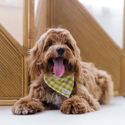 Spring Dog Bandanas