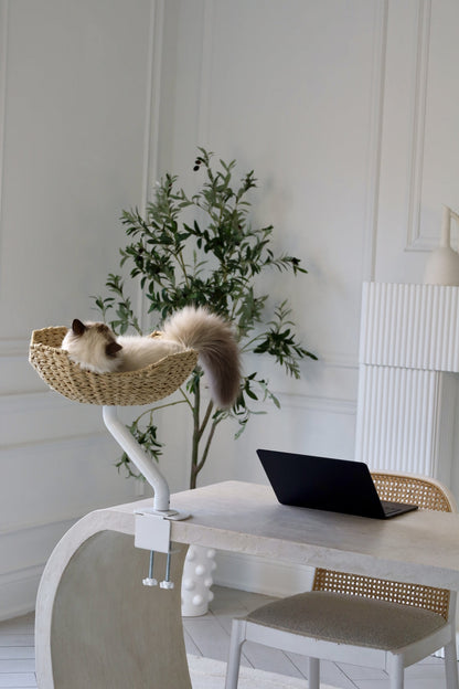 ERGO PURRCH - The Sustainable Desk-Mounted Cat Bed