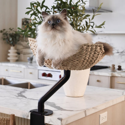 ERGO PURRCH - The Sustainable Desk-Mounted Cat Bed