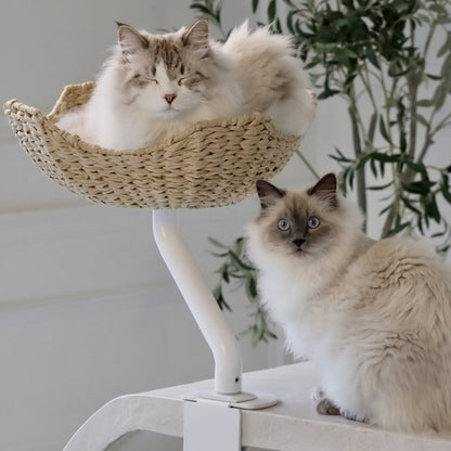 ERGO PURRCH - The Sustainable Desk-Mounted Cat Bed