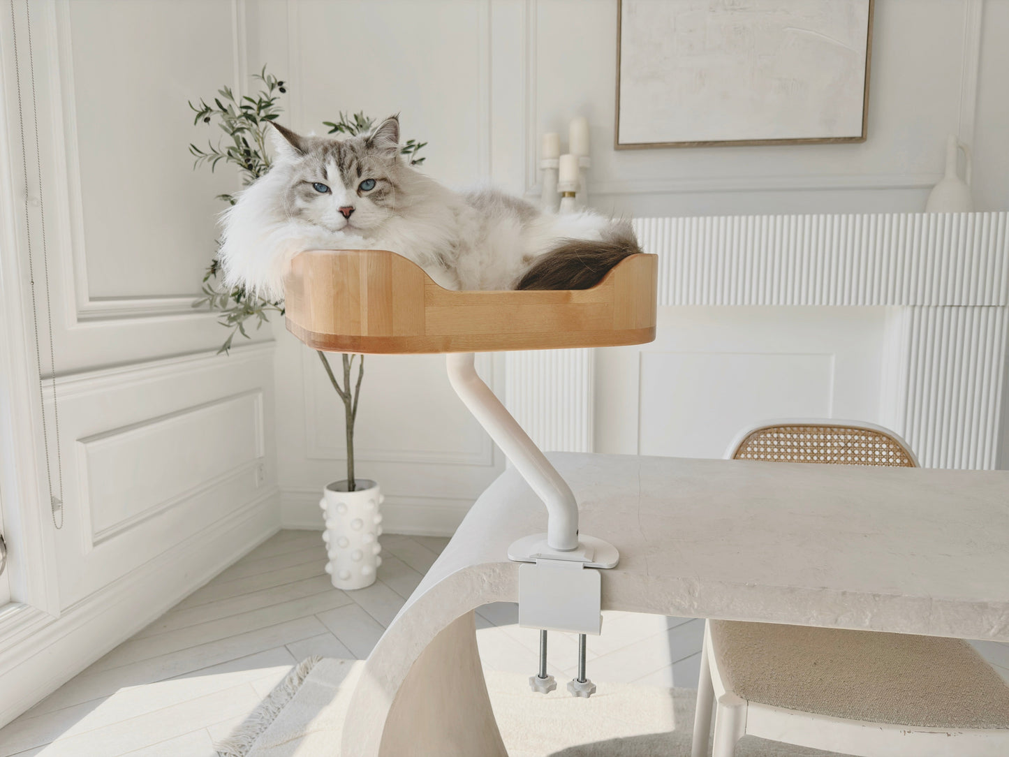 ERGO PURRCH - The Sustainable Desk-Mounted Cat Bed