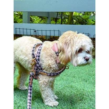 Elite Leash with hands-free extension