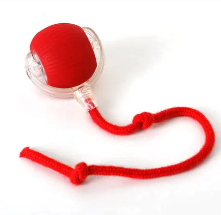 Self-Playing Rolling Ball for Dogs and Cats