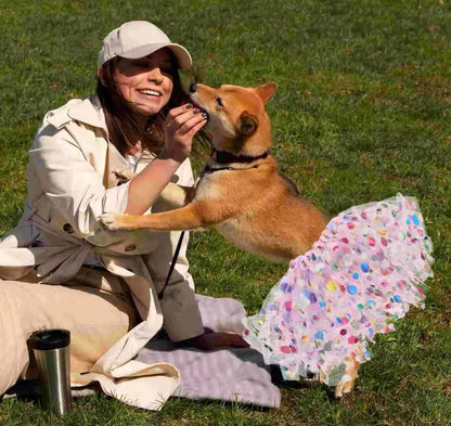 Princess Doggy Tutu – Luxury Tulle Dress for Dogs