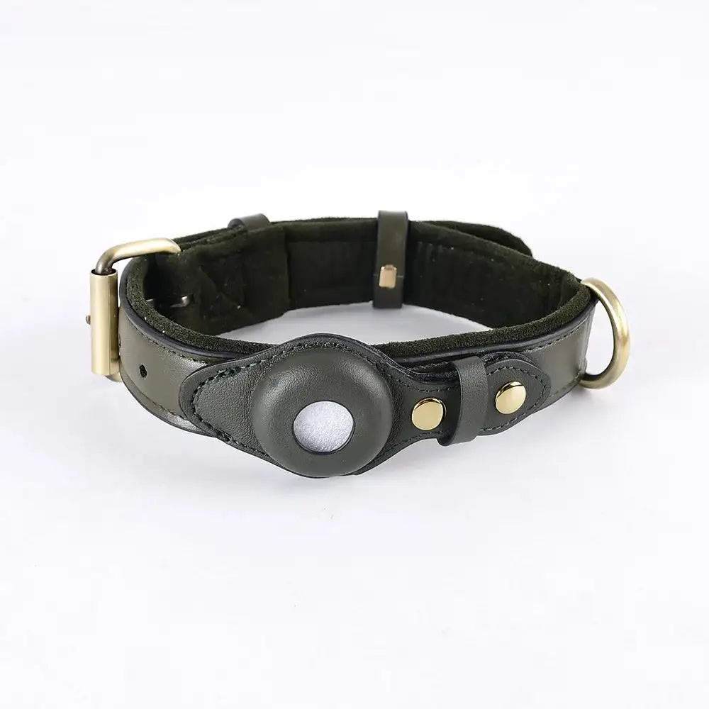 Dog Collar with Airtag Holder