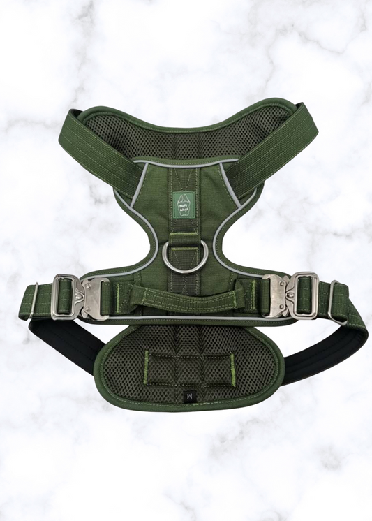 Heavy-Duty Everyday Harness - Cactus Green