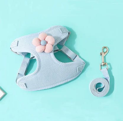 Pet harness with a flower accessory and matching leash on a light blue background