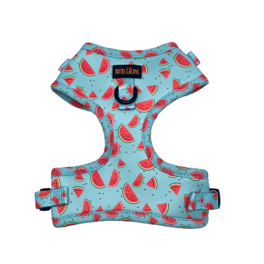 Harness - Watermelon print